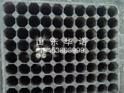 粣